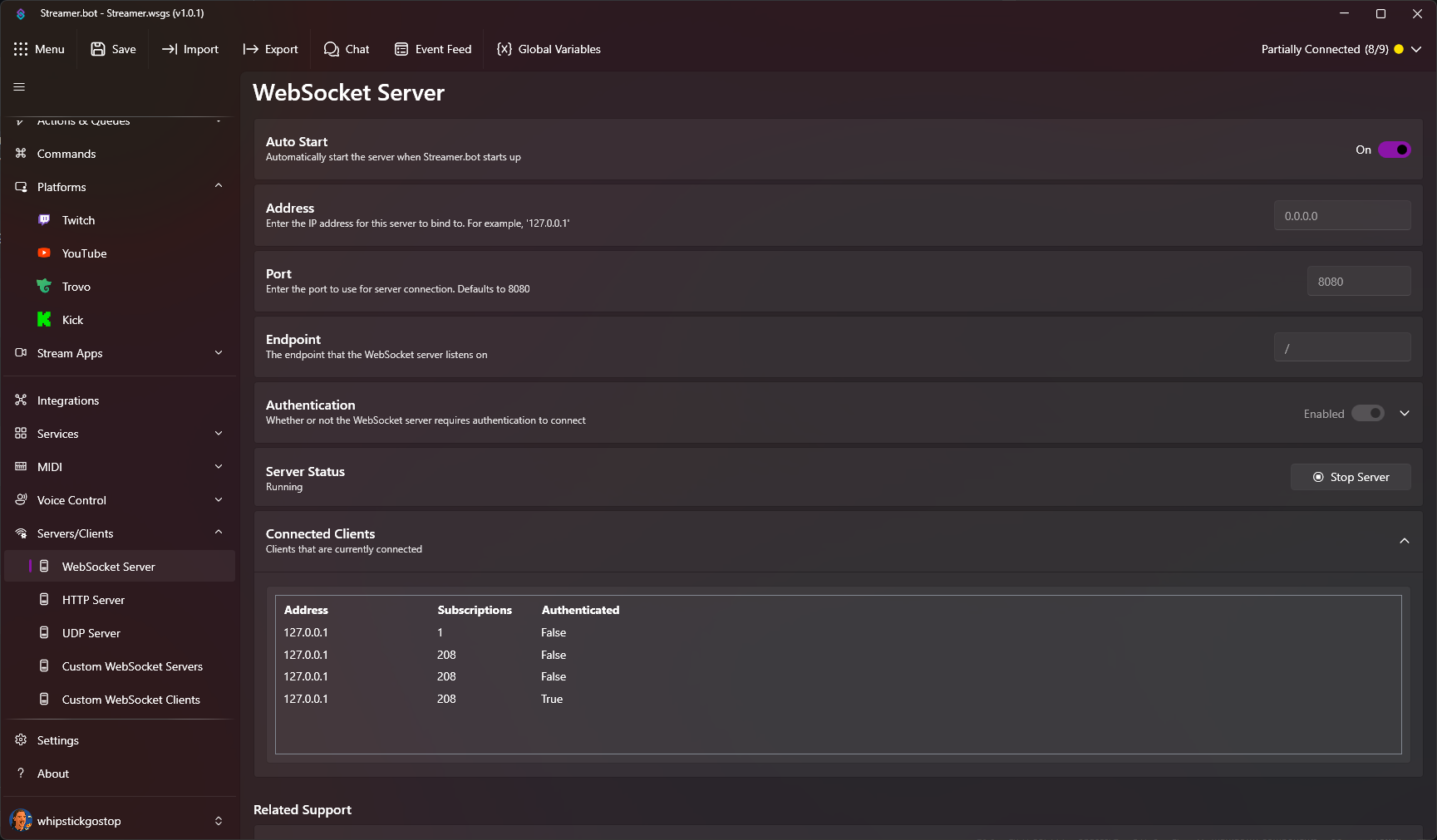 WebSocket Server Settings